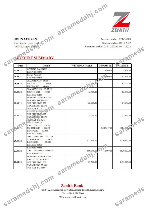 Nigeria Zenith Bank statement xls